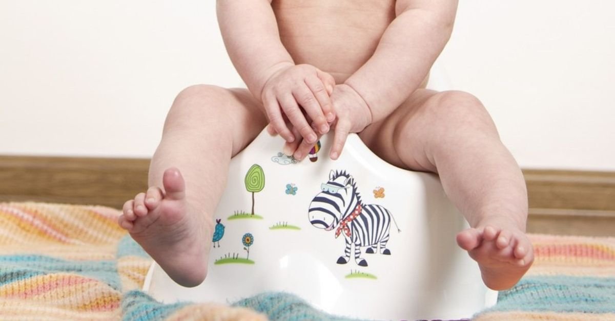 The Best Potty Training Seats for Easy, Mess-Free Potty Training